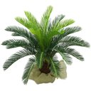 Ver imagem 1 de Planta Artificial Cycas Toque Real Realista 80cm Suculentas