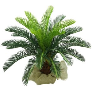 Planta Artificial Cycas Toque Real Realista 80cm Suculentas