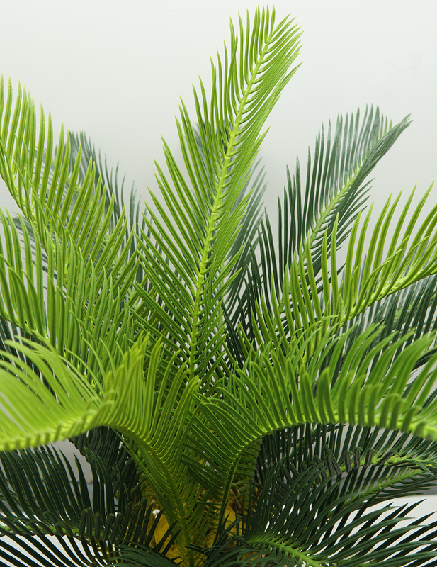 Planta Artificial Cycas Toque Real Realista 80cm Suculentas - 2