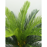 Planta Artificial Cycas Toque Real Realista 80cm Suculentas - 2