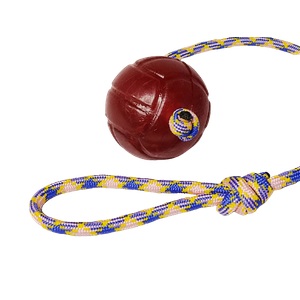 Brinquedo para Cães Bola Agility Lisa Guia Cristal 75mm