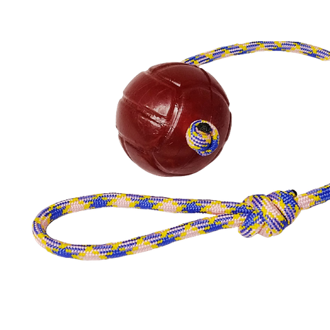 Brinquedo para Cães Bola Agility Lisa Guia Cristal 75mm