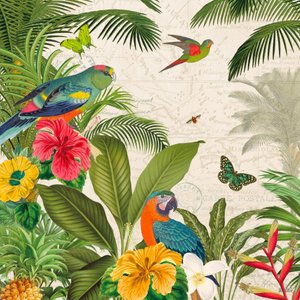 Parrot Paradise Ii Canaleta 60x60cm Preta