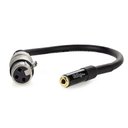 Ver imagem 1 de Cabo Adaptador P2 Femea para Xlr Femea - 20 Cm