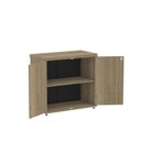 Ver imagem 5 de Armário para Escritório Baixo 2 Portas com Chave