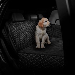 Capa Protetora Pet Prizi 185x104x33cm - 3