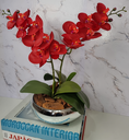 Ver imagem 1 de Arranjo Com 2 Orquídeas Vermelha Vaso Prata 22cm