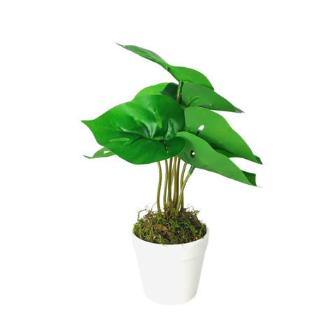 Arranjo de Planta Artificial em Vaso de Plástico Modelo:Planta Costela de Adão Verde