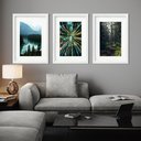 Ver imagem 1 de Kit 3 Quadros Grandes Florestas - 60x48cm:moldura Branca