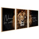 Ver imagem 7 de Kit 3 Quadros Leão Nunca Foi Sorte Sempre Foi Deus Moldura:castanho