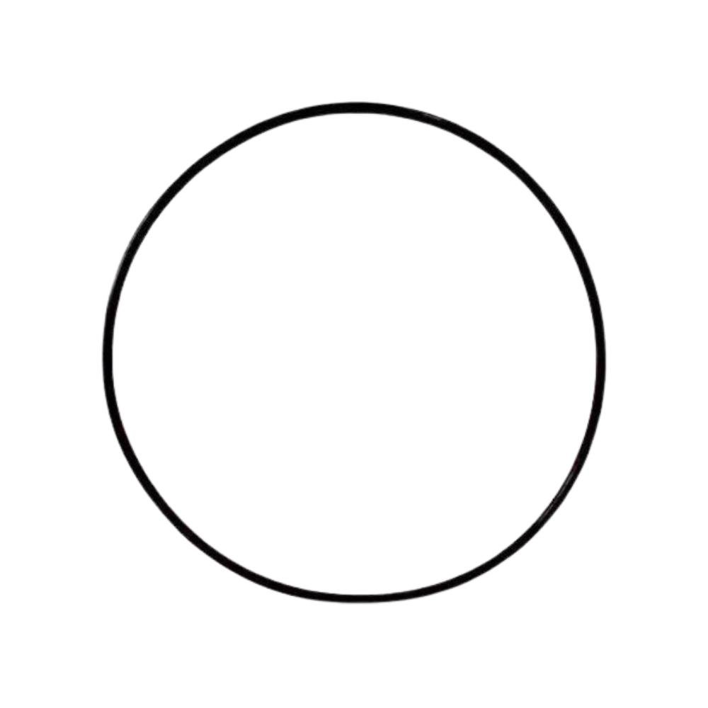 Oring 113,89mm X 4,0mm Visor Pre Filtro Pf-17 - Dancor - 1