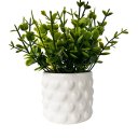 Ver imagem 1 de Vaso Branco de Cerâmica com Estampa Coração em Alto Relevo