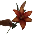 Ver imagem 1 de Flor Artificial Lírio Toque Real