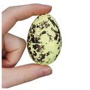 Ver imagem 5 de Cesto Galinha Porta Ovos Cerâmica Decorativo 12 Ovos Amarelo