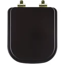 Ver imagem 1 de Assento Sanitário Poliéster Soft Close Piano Marrom Fosco para Vaso Deca com Ferragem Dourada