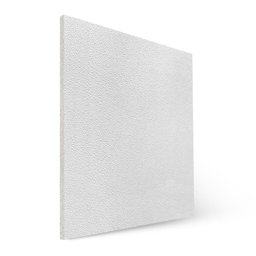 Forro de Gesso com Película Pvc Liso 625 X 625 X 8mm (8pçs) - 2