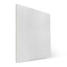 Forro de Gesso com Película Pvc Liso 625 X 625 X 8mm (8pçs) - 2