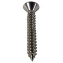 Ver imagem 2 de Parafuso Inox Auto Atarraxante Chata Phillips Stein 3,9x25 Caixa com 300 Peças