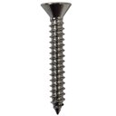 Ver imagem 1 de Parafuso Inox Auto Atarraxante Chata Phillips Stein 3,9x25 Caixa com 300 Peças