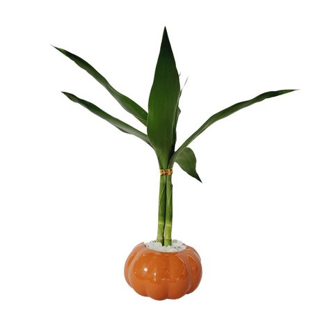 Vaso Cerâmica Abóbora P 7x7x4cm – Charme e Delicadeza para Sua Decoração