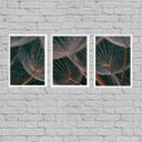 Ver imagem 1 de Kit 3 Quadros Flor Dente De Leão 33x24cm:Madeira preta