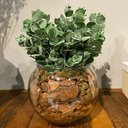 Ver imagem 3 de Arranjo De Eucalipto Centro De Mesa Artificial Completo