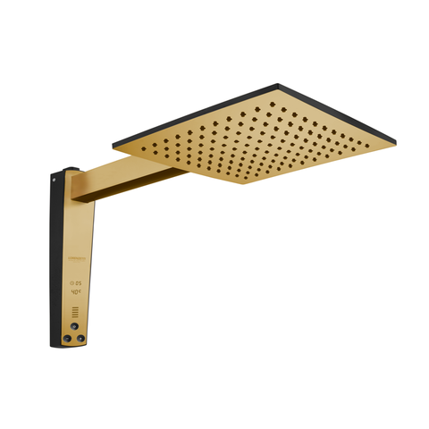 Chuveiro Acqua Century Digital - Preto com Dourado Matte- 220v