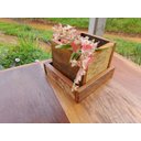 Ver imagem 4 de vaso pra flor em madeira maciça de demolição direto da frábrica