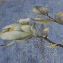 Ver imagem 6 de Papel de Parede Floral Azul Vinilico Lavável+ Cola Inclusa