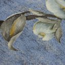 Ver imagem 3 de Papel de Parede Floral Azul Vinilico Lavável+ Cola Inclusa