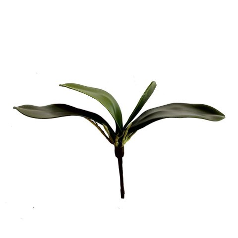 Folha Orquidea Artificial Verde 22 cm - D'Rossi Flor