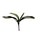 Ver imagem 1 de Folha Orquidea Artificial Verde 22 cm - D'Rossi Flor