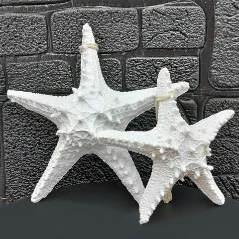 Enfeites Estrelas Mar Branca Casa Praia Oceano Mar Kit 2pçs