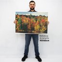 Ver imagem 2 de Quadro Decorativo Árvores de Outono em tela Canvas TACOLADO PAPEL DE PAREDE Moldura Flutuante 4,5cm