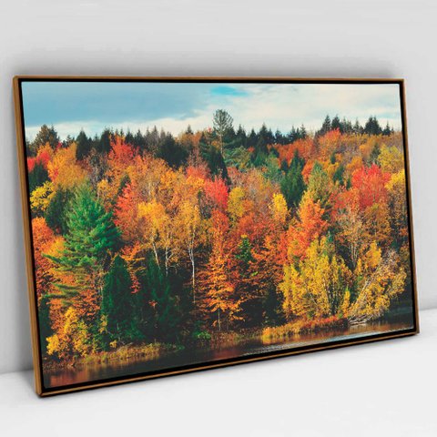 Quadro Decorativo Árvores de Outono em tela Canvas TACOLADO PAPEL DE PAREDE Moldura Flutuante 4,5cm 