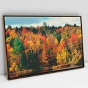 Ver imagem 1 de Quadro Decorativo Árvores de Outono em tela Canvas TACOLADO PAPEL DE PAREDE Moldura Flutuante 4,5cm