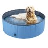 Piscina para Cachorro Gato Cao Pet Animais de Estimaçao Bebe Criança Dobravel Sol Verao Calor Dia Qu - 11