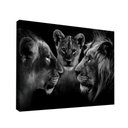 Ver imagem 5 de Quadro Decorativo Family In Black