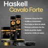Kit Cavalo Forte 1 Máscara 500ml 1 Selante de Pontas 35ml Haskell 14428 - 2