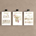 Ver imagem 2 de Kit 3 Quadro Decorativo Dentista Odontologia Consultório 40x28cm
