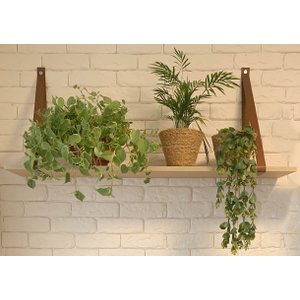 Prateleira Decorativa Suspensa em Couro - Verena (1 M X 24 Cm)