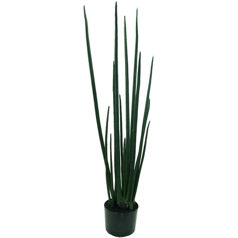 Planta Permanente Verde Lança de São Jorge 100cm Suculenta