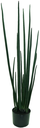 Ver imagem 1 de Planta Permanente Verde Lança de São Jorge 100cm Suculenta