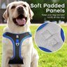 Peitoral e Guia para cachorros ajustável com duplo anel para maior segurança - M - 5
