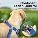 Ver imagem 4 de Peitoral e Guia para cachorros ajustável com duplo anel para maior segurança - M