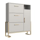 Ver imagem 1 de Sapateira Industrial 96x118cm 3 Gavetas com Porta Arenas/Dourado P1062