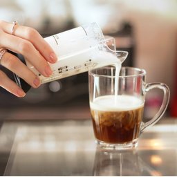 Espumador De Leite Branco Cremeira Aerador Pressca - 5 Espumador De Leite Branco Cremeira Aerador Pressca - 5