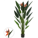 Ver imagem 1 de Planta Arvore Artificial Estrelícia C/flor Pu C/pote X19 Verde 1,5cm