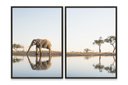 Ver imagem 2 de Quadro Elefante na Savana Duplo 50x70 - 2 Peça