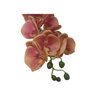 Haste De Flor Artificial Orquídea Phalaenopsis Laranja 3D 75 Cm - 4